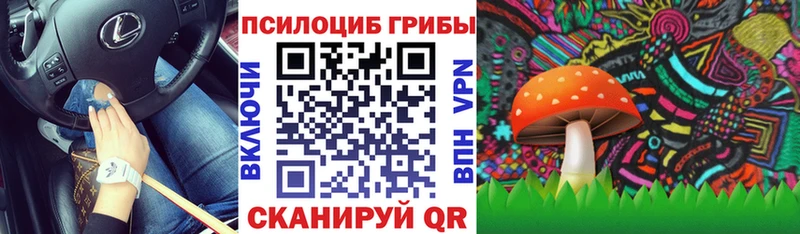 блэк спрут ссылка  Судогда  Псилоцибиновые грибы мухоморы  купить  