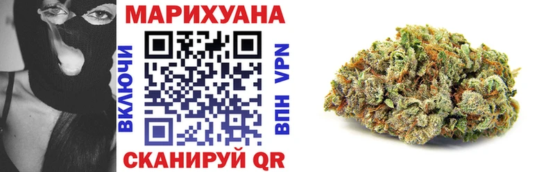 купить наркоту  Судогда  mega ONION  Канабис планчик 